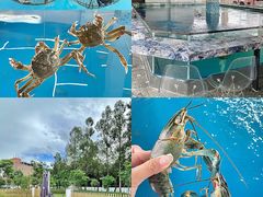 -SHRIMP CLUB万东餐饮钓虾·清吧