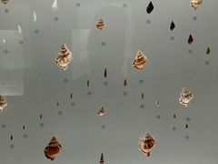 -青岛贝壳博物馆