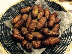 -东北人粗粮饺子坊(南山店)