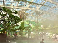 -观唐（国际）度假村温泉