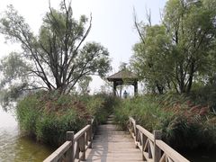 -野鸭湖国家湿地公园