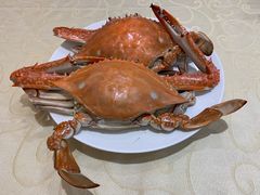 -海岛渔村大酒店(云霄路店)