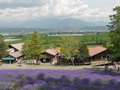 -富田农场