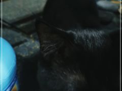-美式FUN·健身馆
