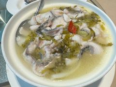 酸汤鱼片-庄氏祥记家常食府(国瑞建材家居博览中心店)