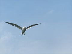-海驴岛(荣成市)
