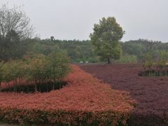 -中国西峡恐龙遗迹园