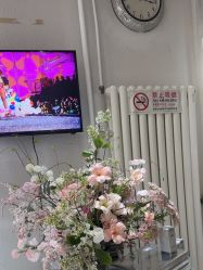 -薇薇安花系SPA