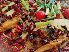 -老板恋上鱼(恒隆广场店)