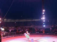 -环球城国际大马戏