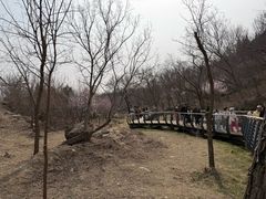 -白水寺森林公园