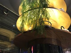 大堂-BeauTea水仙(coco park店)