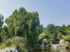 -北京西山国家森林公园