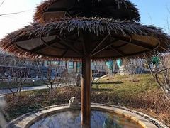 -大连金石滩绿发温泉假日酒店