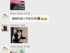 -菲丽丝宠物医院·24小时·猫科中心·免疫点(淮海分院)