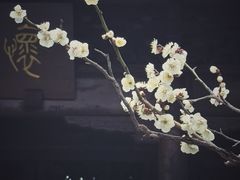 -钱王祠