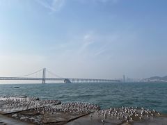 -星海广场