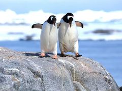-东四民芳餐厅(朝阳门店)