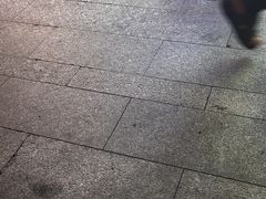 -猫员外精酿啤酒馆(壹海城店)