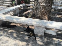 -宝通禅寺