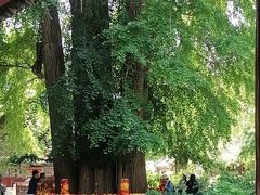 -潭柘寺景区
