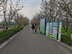 -长田漾湿地公园