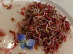 豆苗-来哥菜馆·大厨烹小鲜