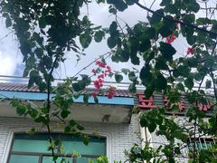 -豆舞咖啡(民乐路店)