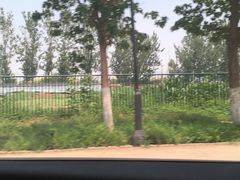 -万源龙顺度假庄园生态观光园