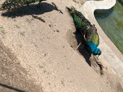 -哈尔滨北方森林动物园