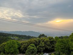 -金水泊山庄·花椒鸡(铁山坪店)