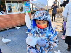 -天津妈祖文化园