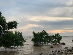 -宝安西湾红树林湿地公园