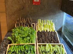 -许家菜(望江店)
