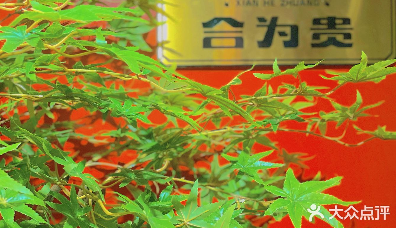 又一家2.0升级版火锅🍲你肯定还没吃过💠✅