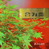 又一家2.0升级版火锅🍲你肯定还没吃过💠✅