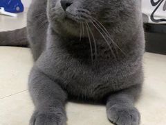 -客栈猫舍(中央北路店)