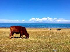 -青海湖国家重点风景名胜区