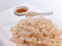 清炒河虾仁-红城阁·上海味道(四平路店)