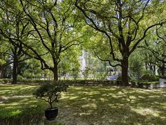 -上海交通大学医学院附属瑞金医院(总院)