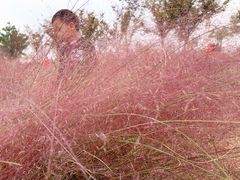 -映月湖中央公园