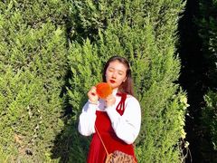 -汉长安城未央宫国家考古遗址公园