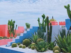 -漳州滨海火山岛自然生态风景区