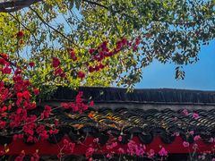 -南汇桃花村