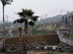 -枫香湖儿童公园