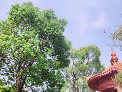 -东湖生态旅游风景区