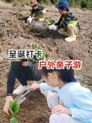 -麦粒鸟亲子游