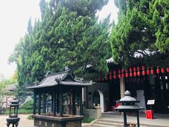 -秋霞圃