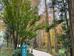 -东明山森林公园