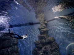 -成都浩海立方海洋公园